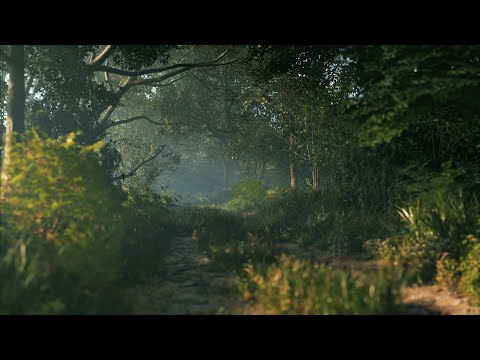 Forest Render Animation Tree Rendering Gallery D5 Render Forum